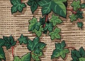 another fabulous 1950's ivy on a basket woven background. Rich,rich color and depth.
