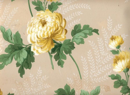pale beige back with beautiful yellow floral and faint ferns in the background